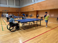 /album/%e3%83%95%e3%82%a9%e3%83%88%e3%82%ae%e3%83%a3%e3%83%a9%e3%83%aa%e3%83%bc/%e8%bb%8a%e6%a4%85%e5%ad%90-jpg/